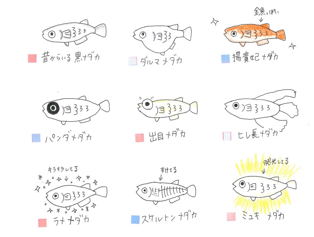 今 アイツが空前のブームらしい P Cube